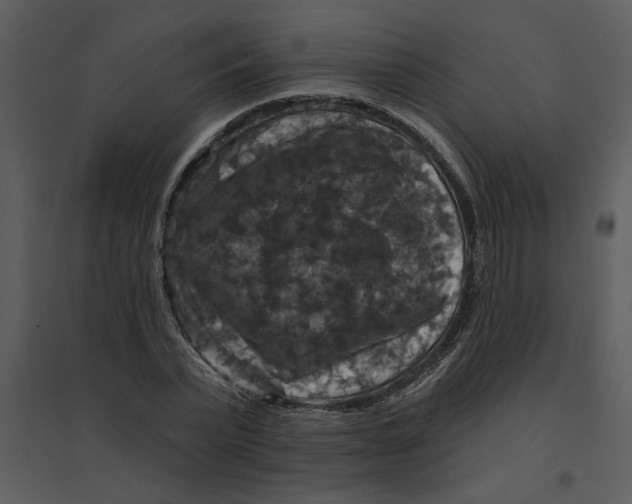 X0000095550783200801041330