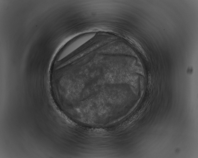 X0000095550784200801041330