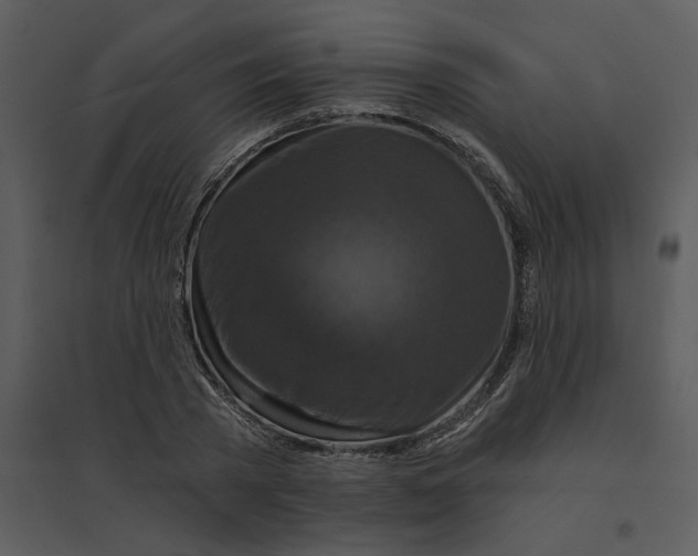 X0000095550785200801041330