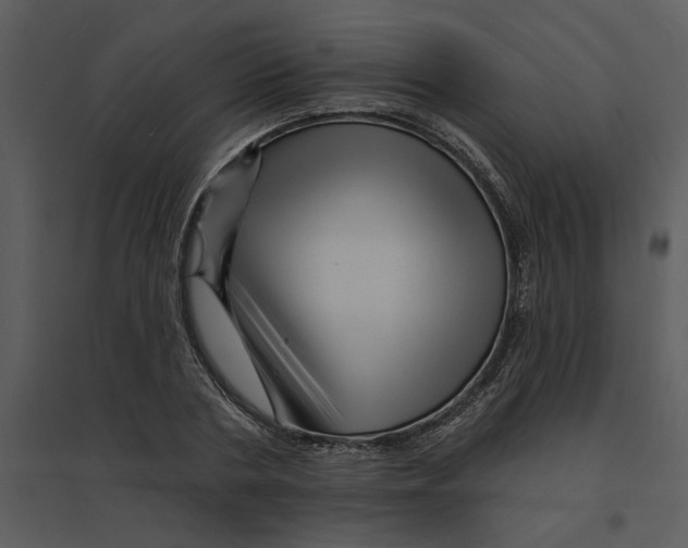 X0000095550786200801041330