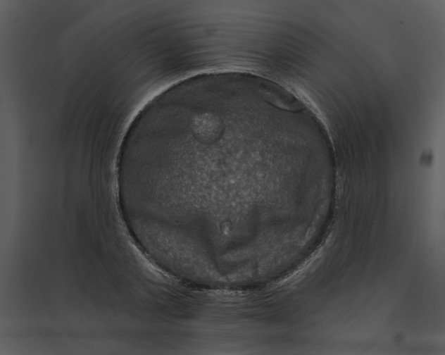 X0000095550789200801041330