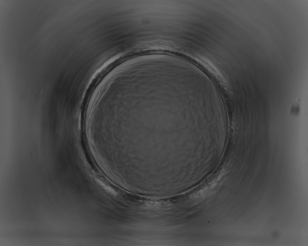 X0000095550790200801041330