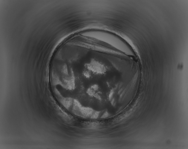 X0000095550791200801041330