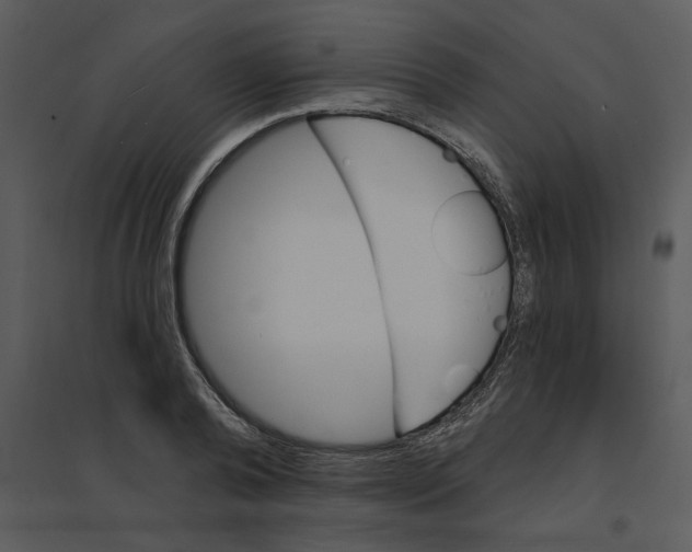 X0000095550792200801041330