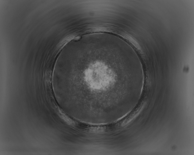 X0000095550793200801041330