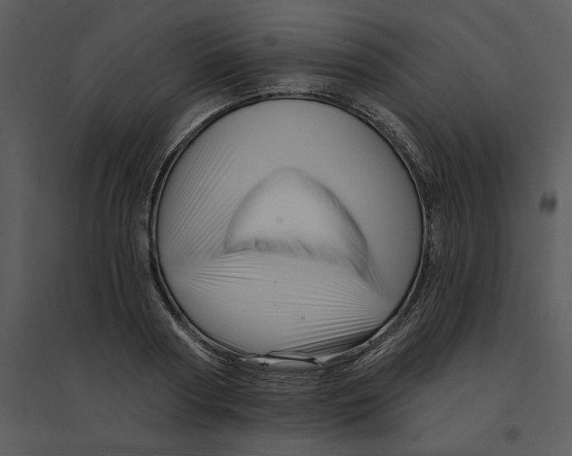 X0000095550794200801041330