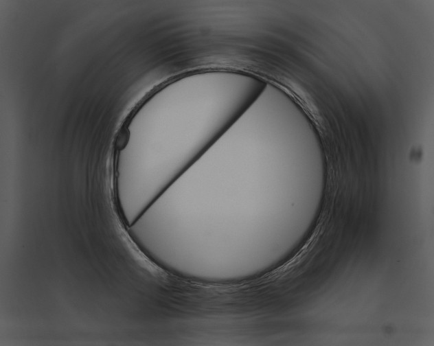 X0000095550796200801041330