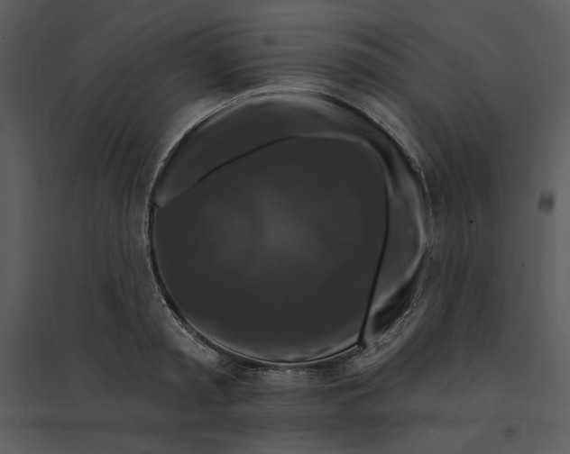 X0000095550797200801041330