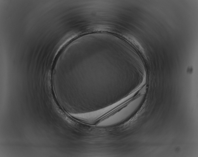 X0000095550798200801041330