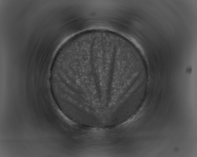 X0000095550799200801041330