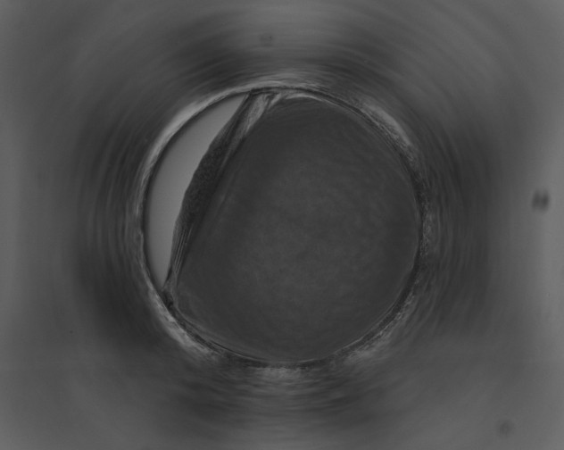 X0000095550800200801041330