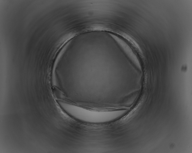 X0000095550801200801041330