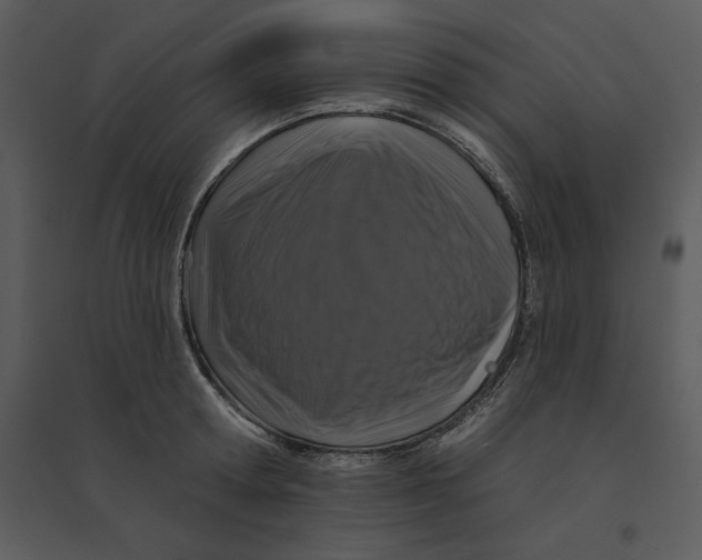 X0000095550802200801041330