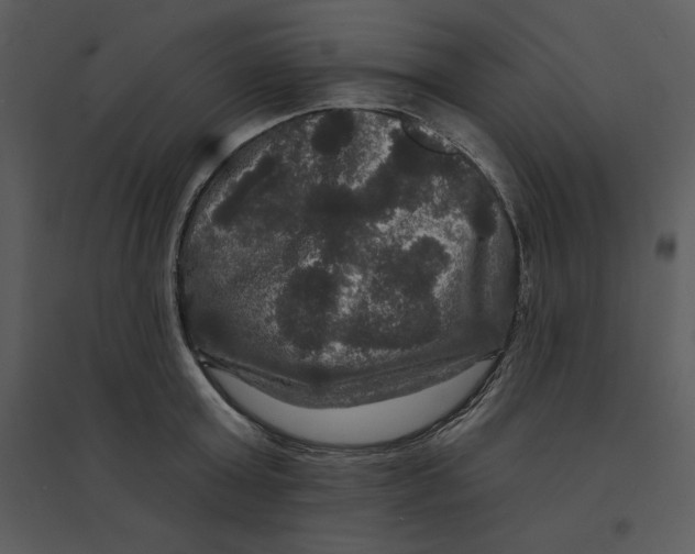 X0000095550803200801041330