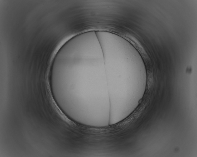 X0000095550804200801041330