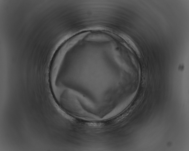 X0000095550805200801041330