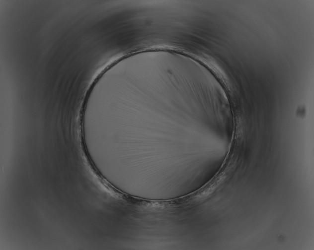 X0000095550806200801041329