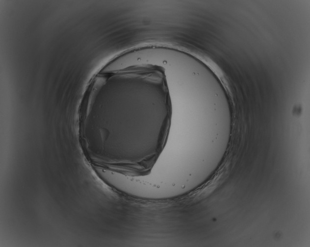 X0000095550807200801041329