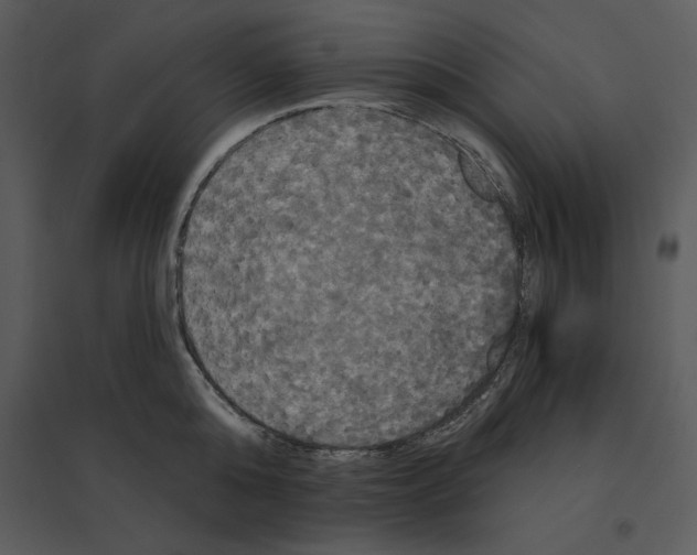 X0000095550808200801041329