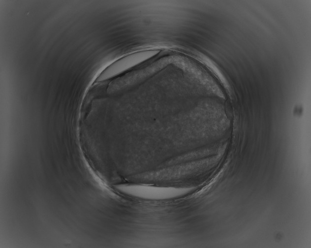 X0000095550810200801041329