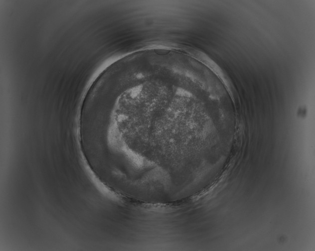 X0000095550811200801041329