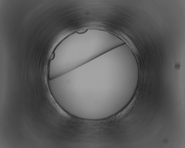 X0000095550812200801041329