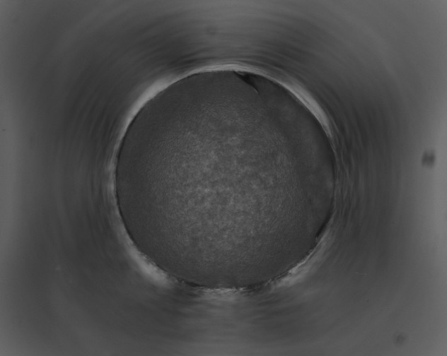 X0000095550813200801041329