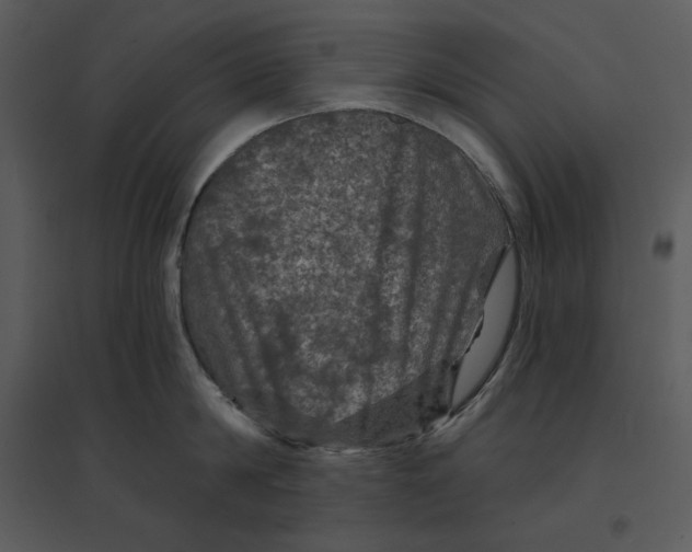 X0000095550814200801041329