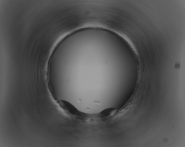 X0000095550815200801041329