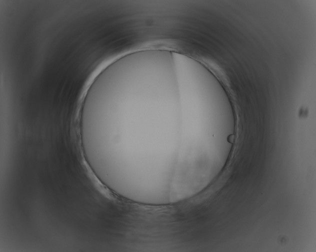 X0000095550816200801041329