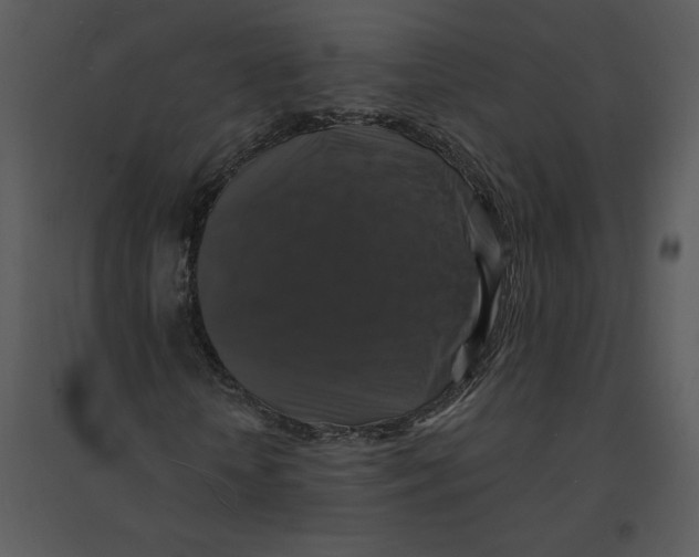 X0000095550818200801041329