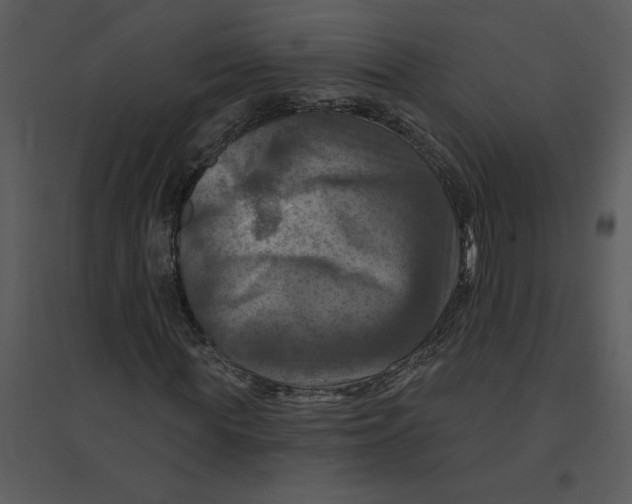 X0000095550819200801041329