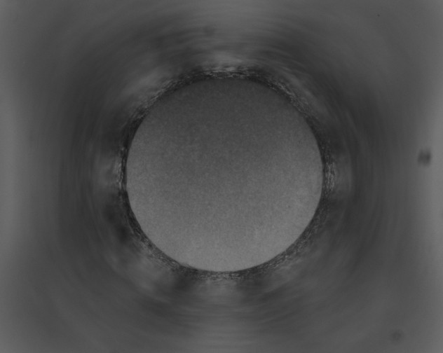 X0000095550820200801041329