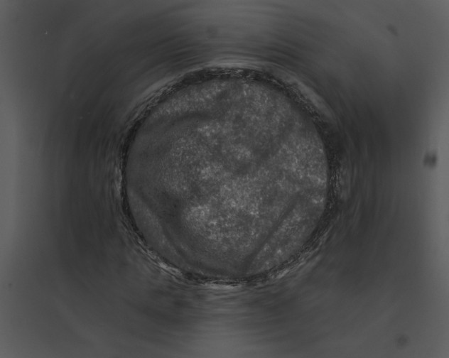 X0000095550821200801041329