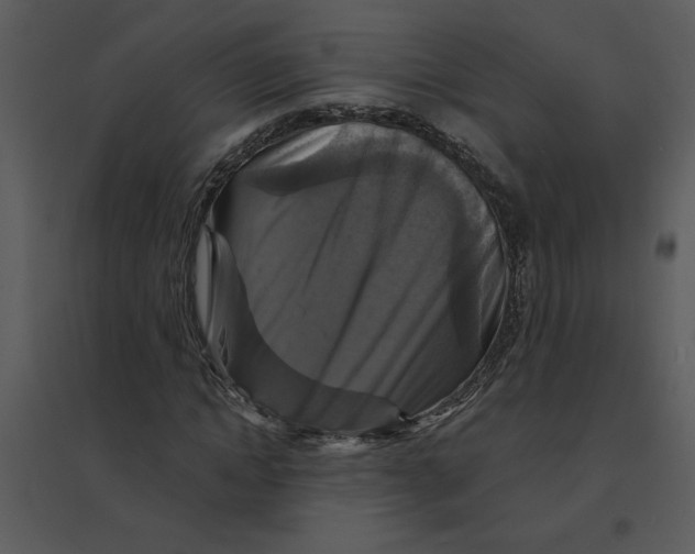 X0000095550822200801041329