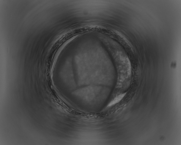 X0000095550823200801041329