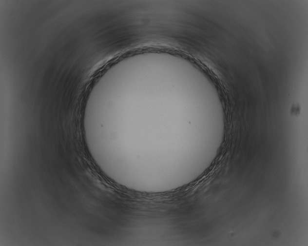 X0000095550824200801041329