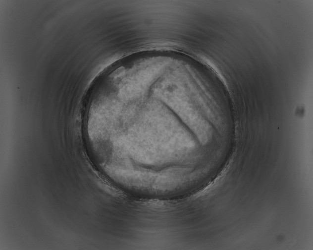 X0000095550827200801041329