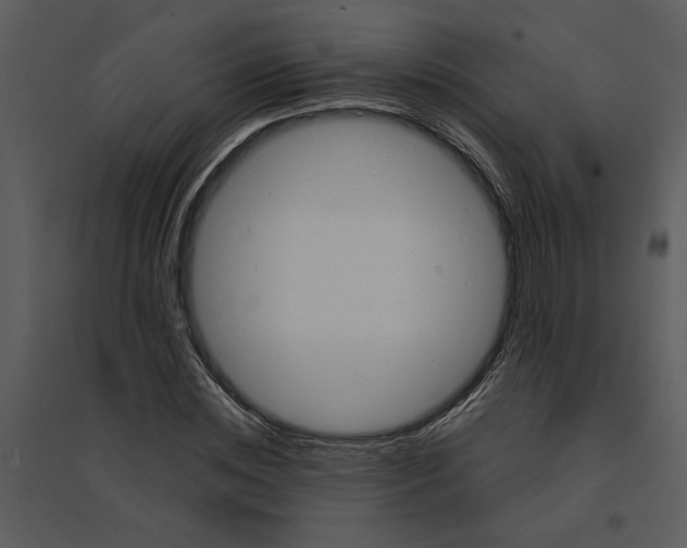 X0000095550828200801041329