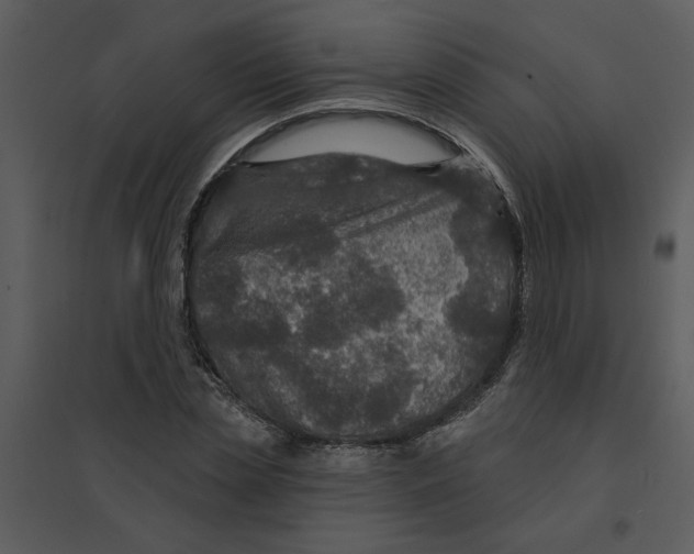 X0000095550829200801041329