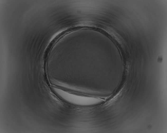 X0000095550830200801041329