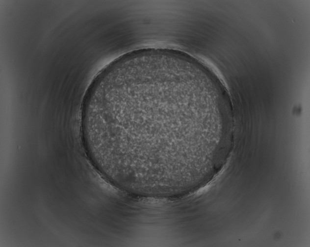 X0000095550831200801041329