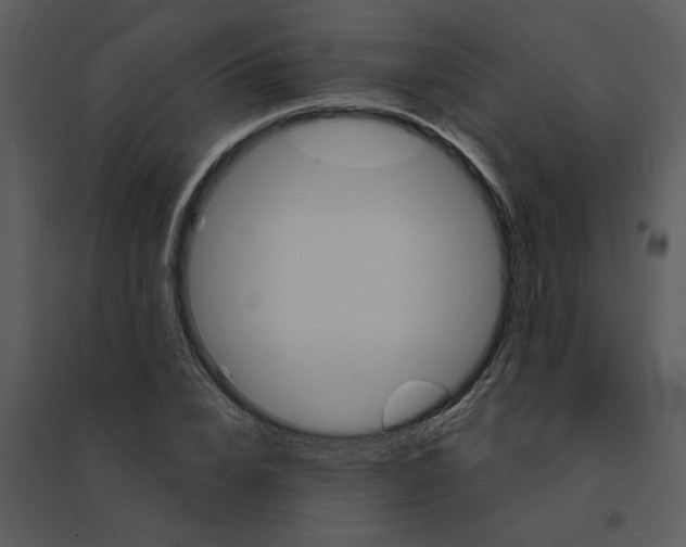 X0000095550832200801041329