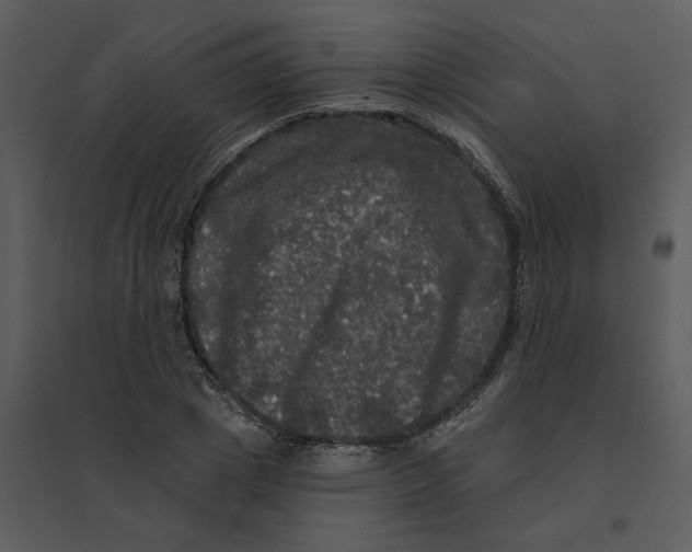 X0000095550833200801041329