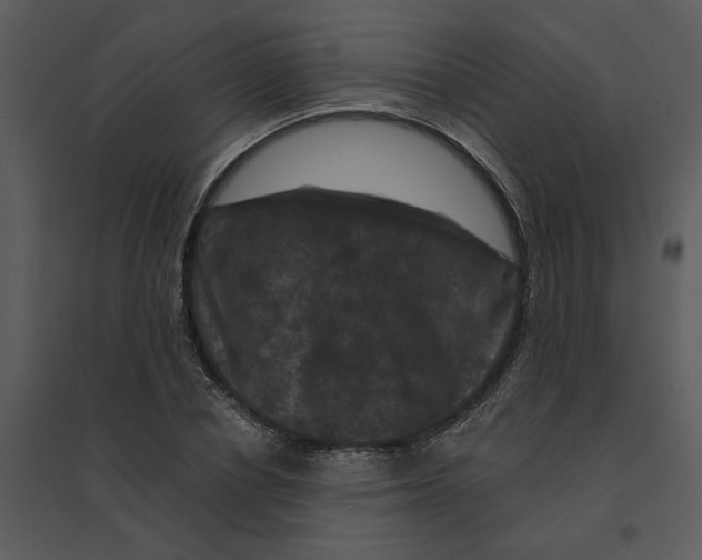 X0000095550834200801041329