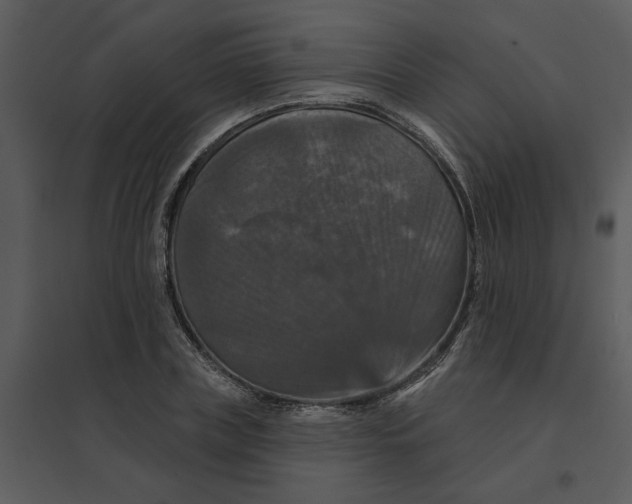 X0000095550835200801041329