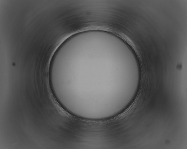 X0000095550836200801041329