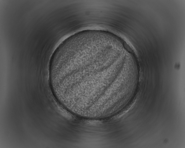 X0000095550837200801041329