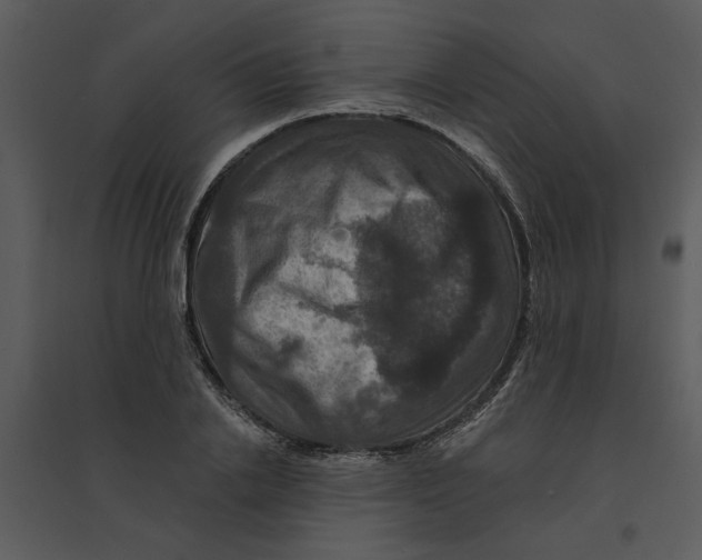 X0000095550838200801041329