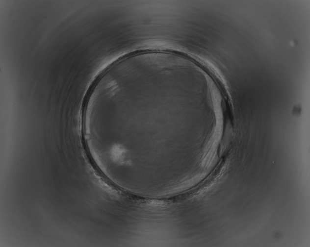 X0000095550839200801041329